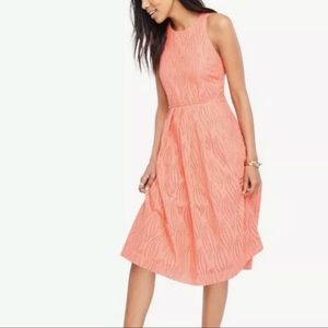 NWOT Ann Taylor Eyelet Pleated Midi Dress Sleeveless Coral Peony Orange Sz 6